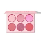 پالت رژگونه ۶ رنگ شیگلم